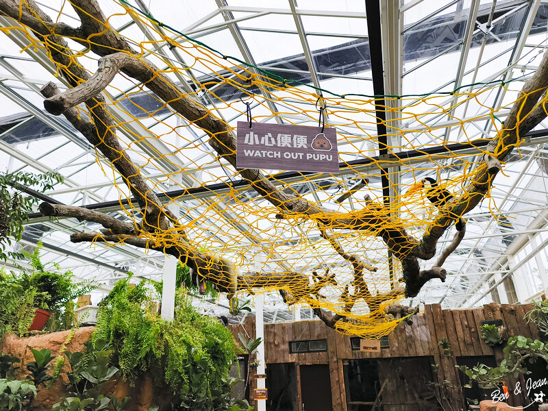 宜蘭縣壯圍鄉【蘭陽動植物王國】全台首座袋鼠公園、鵜鶘飛行餵食秀、超可愛泰迪羊、食蟻獸、樹懶、狐獴，門票、動物介紹
