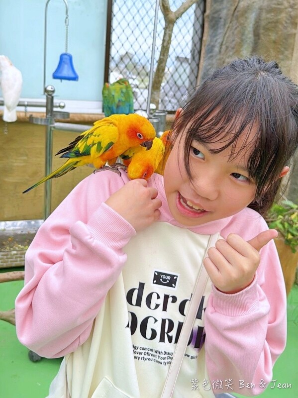 宜蘭縣壯圍鄉【蘭陽動植物王國】全台首座袋鼠公園、鵜鶘飛行餵食秀、超可愛泰迪羊、食蟻獸、樹懶、狐獴，門票、動物介紹