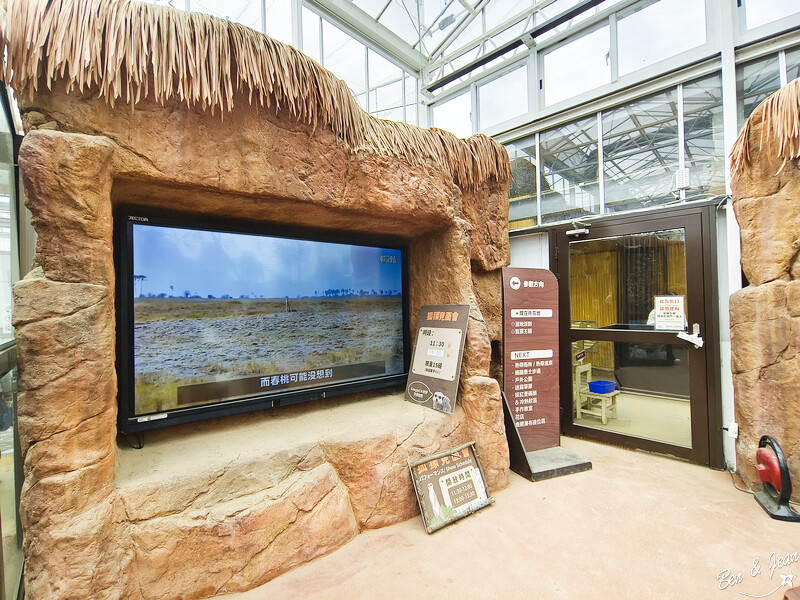 宜蘭縣壯圍鄉【蘭陽動植物王國】全台首座袋鼠公園、鵜鶘飛行餵食秀、超可愛泰迪羊、食蟻獸、樹懶、狐獴，門票、動物介紹