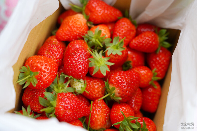 台北市內湖區【東林草莓園】台北內湖草莓季，草莓果醬鬆餅DIY、賞蜂趣，順遊白石湖吊橋及碧山巖