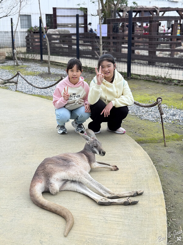 宜蘭縣壯圍鄉【蘭陽動植物王國】全台首座袋鼠公園、鵜鶘飛行餵食秀、超可愛泰迪羊、食蟻獸、樹懶、狐獴，門票、動物介紹