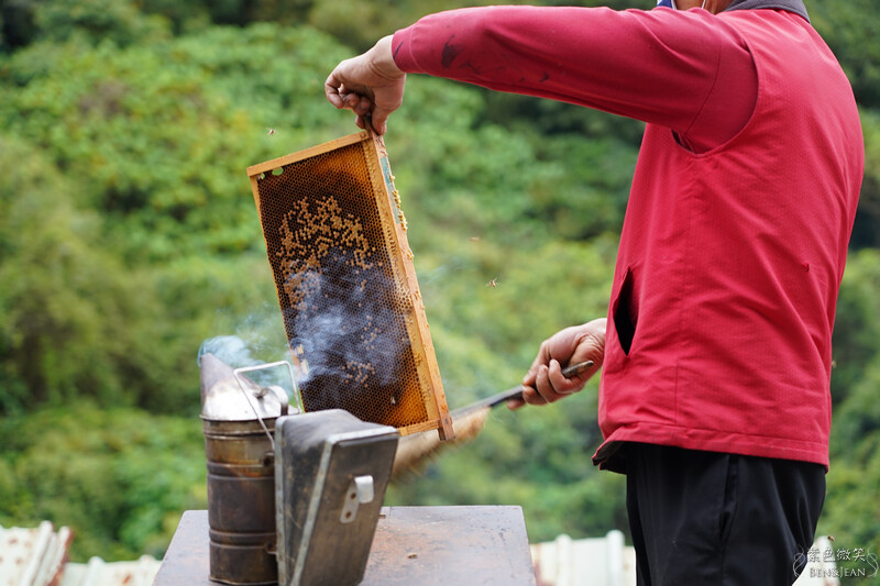 台北市內湖區【東林草莓園】台北內湖草莓季，草莓果醬鬆餅DIY、賞蜂趣，順遊白石湖吊橋及碧山巖