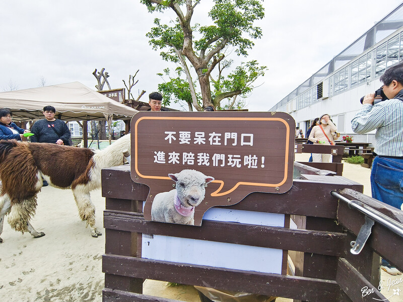 宜蘭縣壯圍鄉【蘭陽動植物王國】全台首座袋鼠公園、鵜鶘飛行餵食秀、超可愛泰迪羊、食蟻獸、樹懶、狐獴，門票、動物介紹