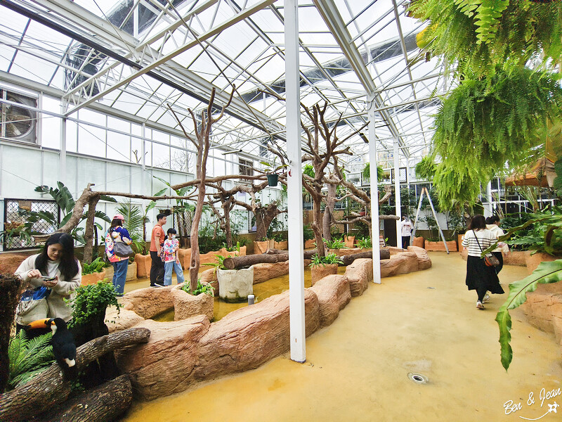 宜蘭縣壯圍鄉【蘭陽動植物王國】全台首座袋鼠公園、鵜鶘飛行餵食秀、超可愛泰迪羊、食蟻獸、樹懶、狐獴，門票、動物介紹
