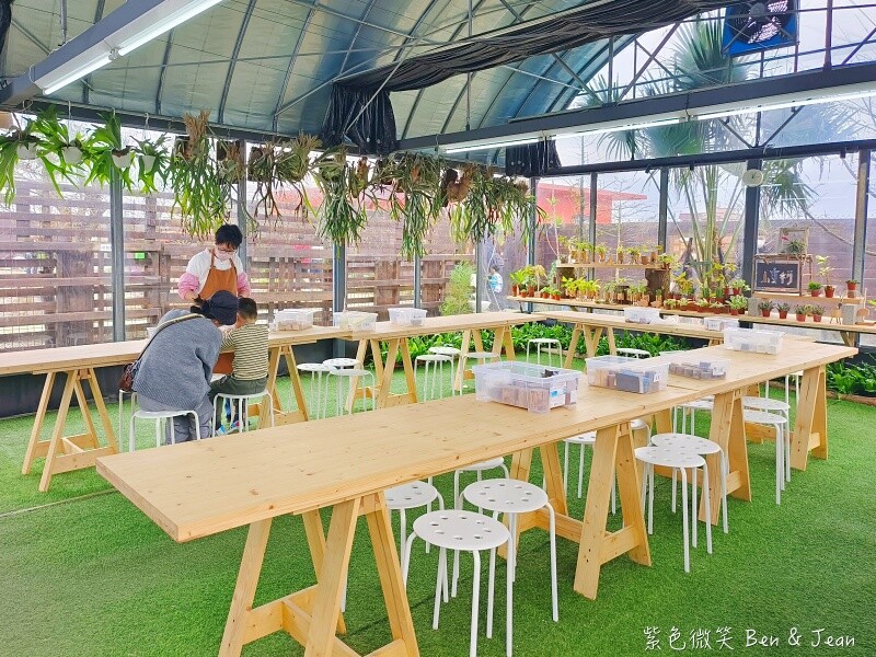 宜蘭縣壯圍鄉【蘭陽動植物王國】全台首座袋鼠公園、鵜鶘飛行餵食秀、超可愛泰迪羊、食蟻獸、樹懶、狐獴，門票、動物介紹