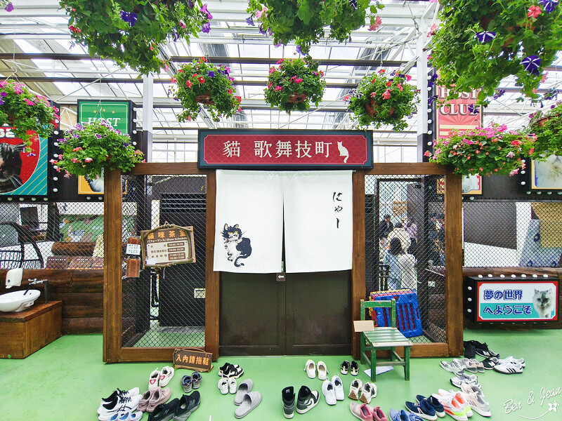 宜蘭縣壯圍鄉【蘭陽動植物王國】全台首座袋鼠公園、鵜鶘飛行餵食秀、超可愛泰迪羊、食蟻獸、樹懶、狐獴，門票、動物介紹