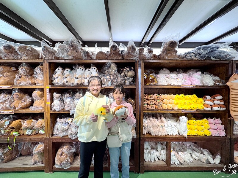 宜蘭縣壯圍鄉【蘭陽動植物王國】全台首座袋鼠公園、鵜鶘飛行餵食秀、超可愛泰迪羊、食蟻獸、樹懶、狐獴，門票、動物介紹