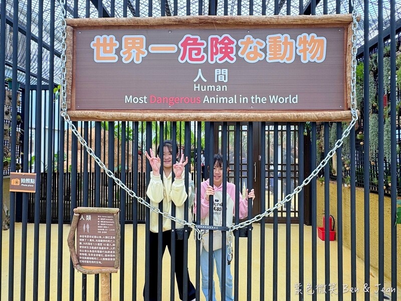 宜蘭縣壯圍鄉【蘭陽動植物王國】全台首座袋鼠公園、鵜鶘飛行餵食秀、超可愛泰迪羊、食蟻獸、樹懶、狐獴，門票、動物介紹