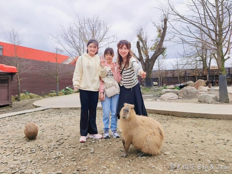 宜蘭縣壯圍鄉【蘭陽動植物王國】全台首座袋鼠公園、鵜鶘飛行餵食秀、超可愛泰迪羊、食蟻獸、樹懶、狐獴，門票、動物介紹