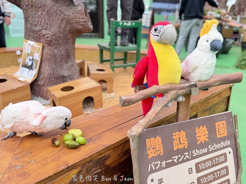宜蘭縣壯圍鄉【蘭陽動植物王國】全台首座袋鼠公園、鵜鶘飛行餵食秀、超可愛泰迪羊、食蟻獸、樹懶、狐獴，門票、動物介紹