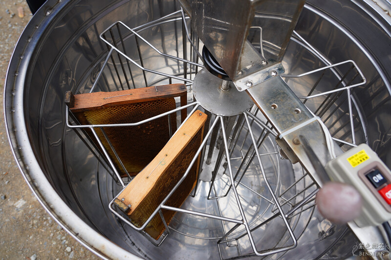 台北市內湖區【東林草莓園】台北內湖草莓季，草莓果醬鬆餅DIY、賞蜂趣，順遊白石湖吊橋及碧山巖