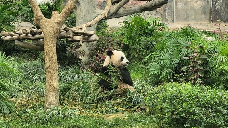 澳門澳門上葡京綜合度假村》澳門親子旅遊飯店推薦