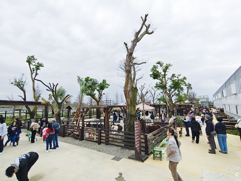 宜蘭縣壯圍鄉【蘭陽動植物王國】全台首座袋鼠公園、鵜鶘飛行餵食秀、超可愛泰迪羊、食蟻獸、樹懶、狐獴，門票、動物介紹