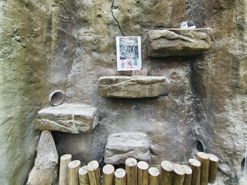 宜蘭縣壯圍鄉【蘭陽動植物王國】全台首座袋鼠公園、鵜鶘飛行餵食秀、超可愛泰迪羊、食蟻獸、樹懶、狐獴，門票、動物介紹