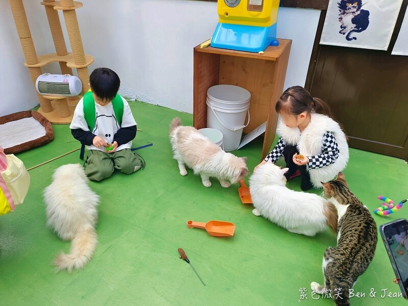 宜蘭縣壯圍鄉【蘭陽動植物王國】全台首座袋鼠公園、鵜鶘飛行餵食秀、超可愛泰迪羊、食蟻獸、樹懶、狐獴，門票、動物介紹