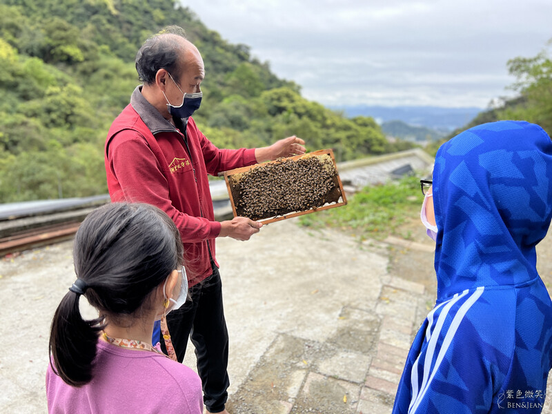 台北市內湖區【東林草莓園】台北內湖草莓季，草莓果醬鬆餅DIY、賞蜂趣，順遊白石湖吊橋及碧山巖