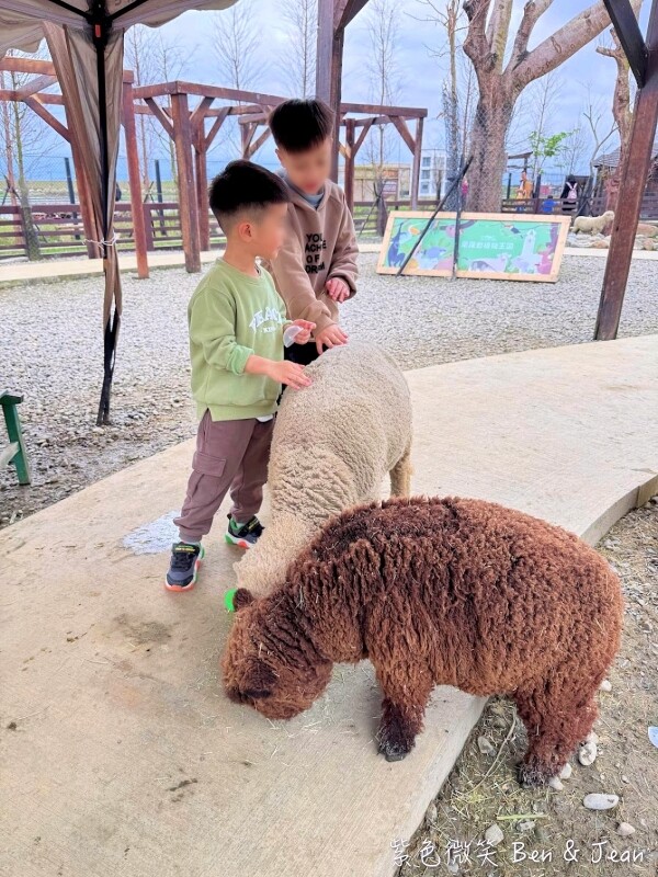 宜蘭縣壯圍鄉【蘭陽動植物王國】全台首座袋鼠公園、鵜鶘飛行餵食秀、超可愛泰迪羊、食蟻獸、樹懶、狐獴，門票、動物介紹