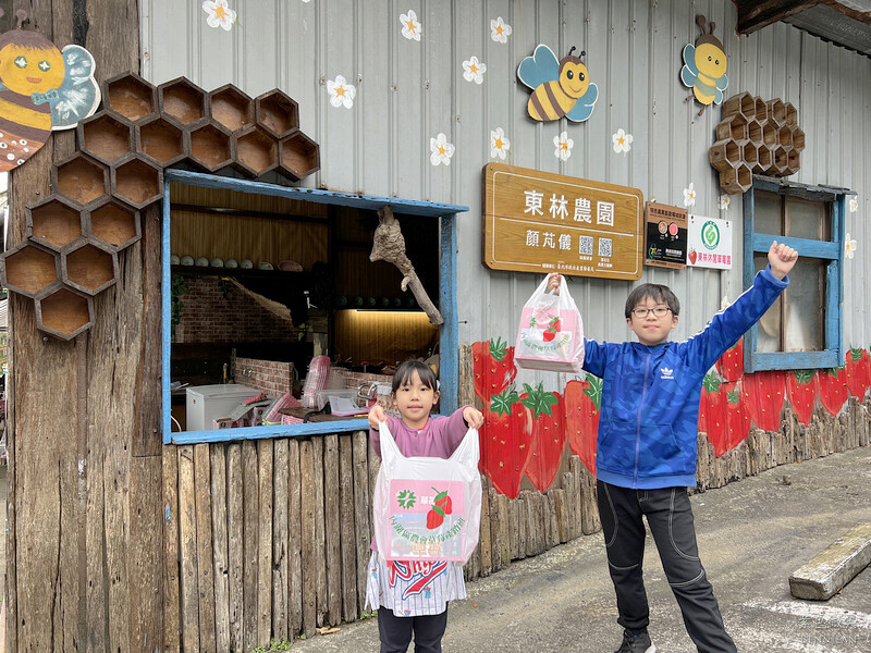 台北市內湖區【東林草莓園】台北內湖草莓季，草莓果醬鬆餅DIY、賞蜂趣，順遊白石湖吊橋及碧山巖