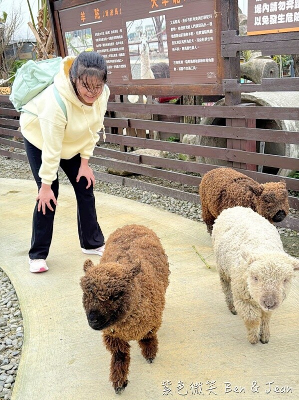 宜蘭縣壯圍鄉【蘭陽動植物王國】全台首座袋鼠公園、鵜鶘飛行餵食秀、超可愛泰迪羊、食蟻獸、樹懶、狐獴，門票、動物介紹