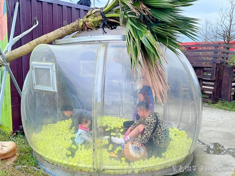 宜蘭縣壯圍鄉【蘭陽動植物王國】全台首座袋鼠公園、鵜鶘飛行餵食秀、超可愛泰迪羊、食蟻獸、樹懶、狐獴，門票、動物介紹