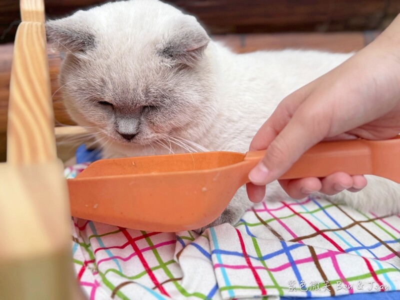 宜蘭縣壯圍鄉【蘭陽動植物王國】全台首座袋鼠公園、鵜鶘飛行餵食秀、超可愛泰迪羊、食蟻獸、樹懶、狐獴，門票、動物介紹