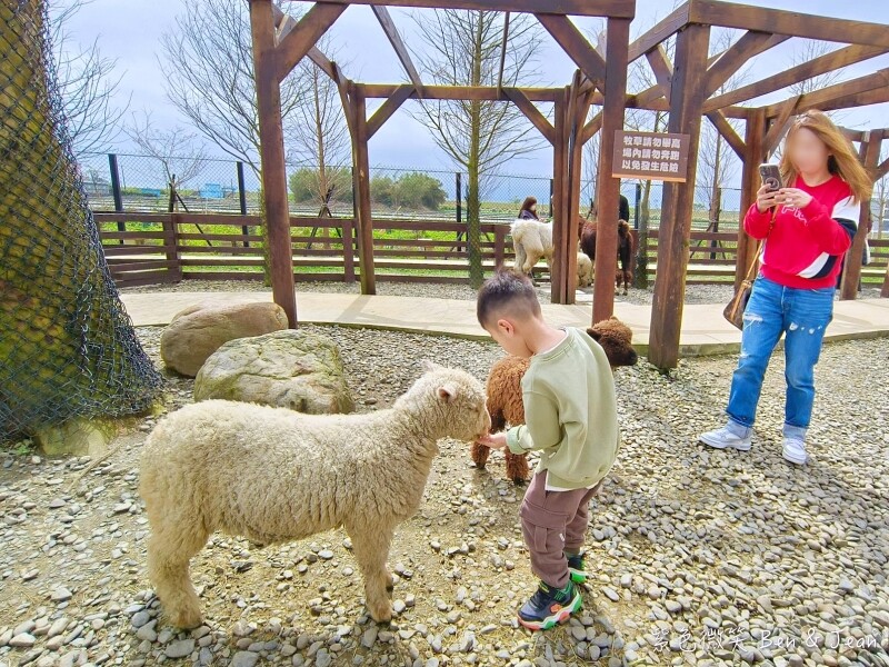 宜蘭縣壯圍鄉【蘭陽動植物王國】全台首座袋鼠公園、鵜鶘飛行餵食秀、超可愛泰迪羊、食蟻獸、樹懶、狐獴，門票、動物介紹