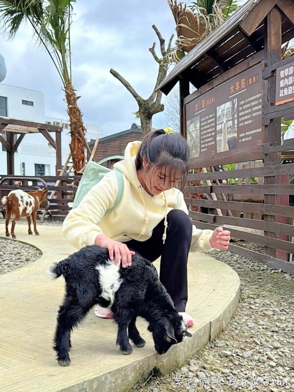 宜蘭縣壯圍鄉【蘭陽動植物王國】全台首座袋鼠公園、鵜鶘飛行餵食秀、超可愛泰迪羊、食蟻獸、樹懶、狐獴，門票、動物介紹