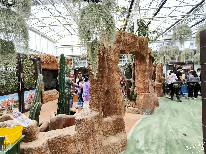 宜蘭縣壯圍鄉【蘭陽動植物王國】全台首座袋鼠公園、鵜鶘飛行餵食秀、超可愛泰迪羊、食蟻獸、樹懶、狐獴，門票、動物介紹