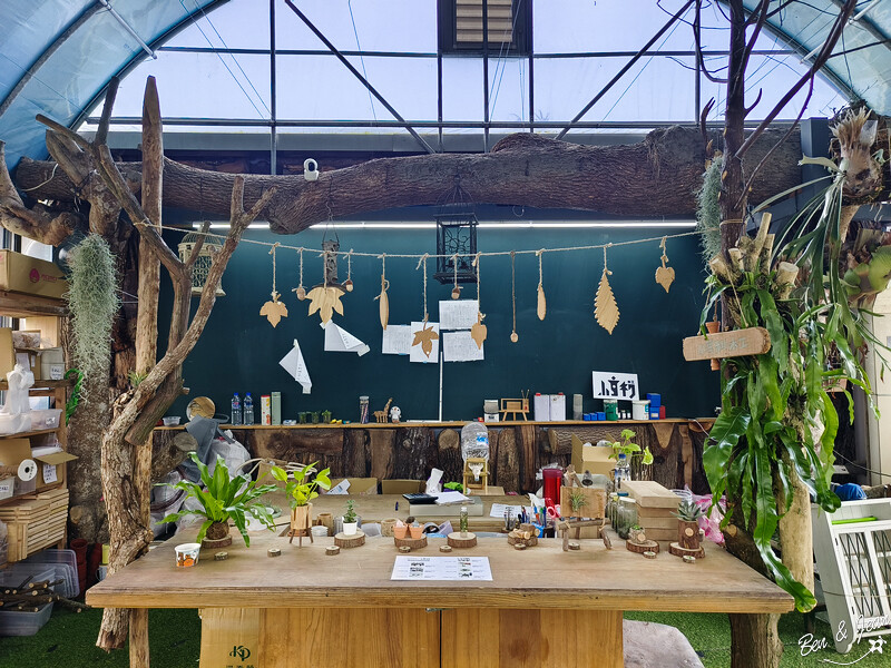 宜蘭縣壯圍鄉【蘭陽動植物王國】全台首座袋鼠公園、鵜鶘飛行餵食秀、超可愛泰迪羊、食蟻獸、樹懶、狐獴，門票、動物介紹