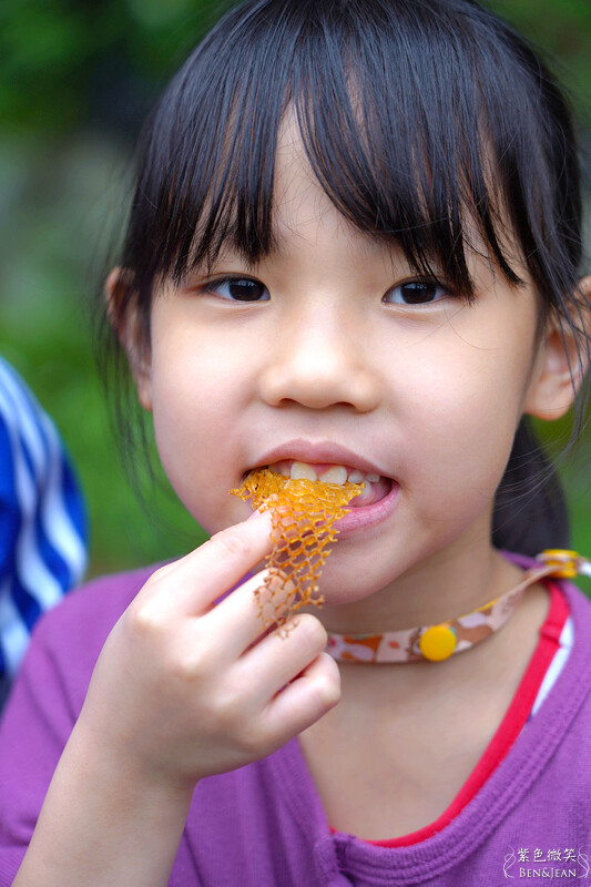 台北市內湖區【東林草莓園】台北內湖草莓季，草莓果醬鬆餅DIY、賞蜂趣，順遊白石湖吊橋及碧山巖