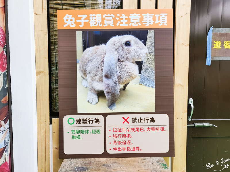 宜蘭縣壯圍鄉【蘭陽動植物王國】全台首座袋鼠公園、鵜鶘飛行餵食秀、超可愛泰迪羊、食蟻獸、樹懶、狐獴，門票、動物介紹