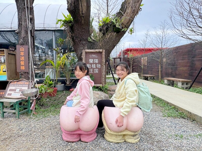 宜蘭縣壯圍鄉【蘭陽動植物王國】全台首座袋鼠公園、鵜鶘飛行餵食秀、超可愛泰迪羊、食蟻獸、樹懶、狐獴，門票、動物介紹