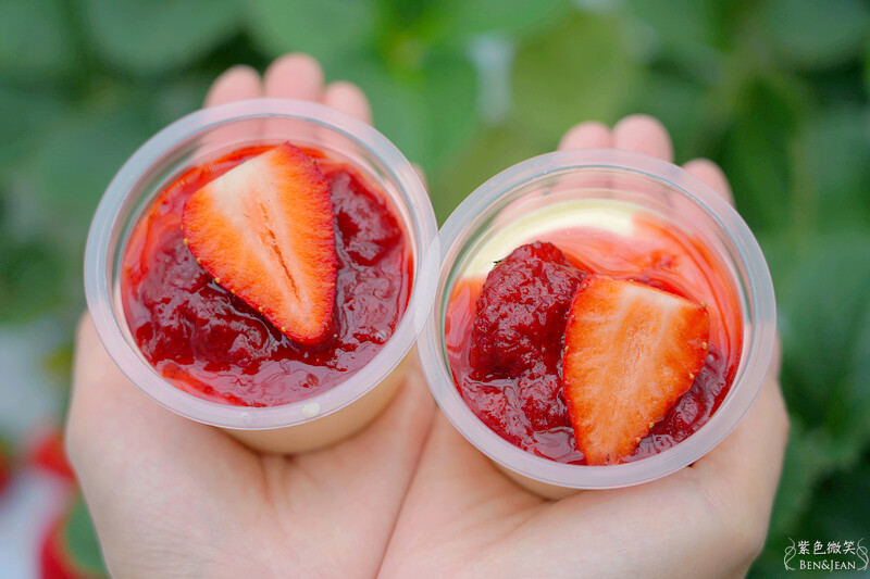 台北市內湖區【東林草莓園】台北內湖草莓季，草莓果醬鬆餅DIY、賞蜂趣，順遊白石湖吊橋及碧山巖