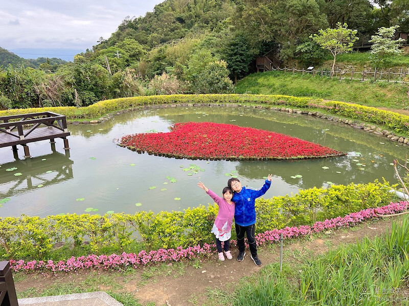 台北市內湖區【東林草莓園】台北內湖草莓季，草莓果醬鬆餅DIY、賞蜂趣，順遊白石湖吊橋及碧山巖