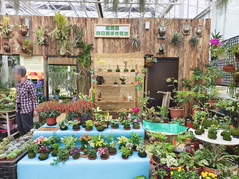 宜蘭縣壯圍鄉【蘭陽動植物王國】全台首座袋鼠公園、鵜鶘飛行餵食秀、超可愛泰迪羊、食蟻獸、樹懶、狐獴，門票、動物介紹