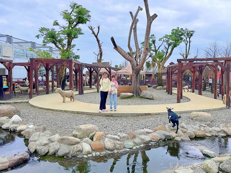 宜蘭縣壯圍鄉【蘭陽動植物王國】全台首座袋鼠公園、鵜鶘飛行餵食秀、超可愛泰迪羊、食蟻獸、樹懶、狐獴，門票、動物介紹