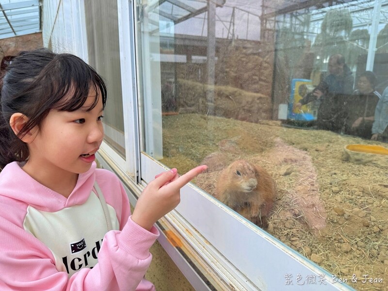 宜蘭縣壯圍鄉【蘭陽動植物王國】全台首座袋鼠公園、鵜鶘飛行餵食秀、超可愛泰迪羊、食蟻獸、樹懶、狐獴，門票、動物介紹