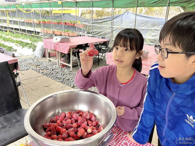 台北市內湖區【東林草莓園】台北內湖草莓季，草莓果醬鬆餅DIY、賞蜂趣，順遊白石湖吊橋及碧山巖