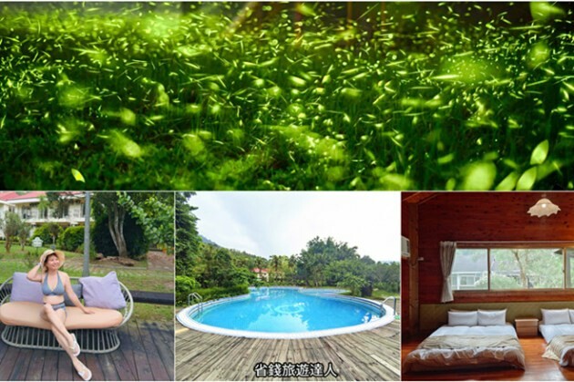 台北市大安區2025台北賞花季|杜鵑花,玫瑰花,海芋和紫藤花陸續登場日期資訊