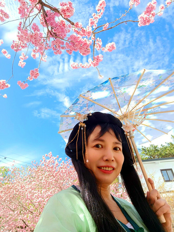 南投縣仁愛鄉南投清境賞櫻景點推薦｜駿亦景觀民宿和星嵐拉麵,櫻花季必訪