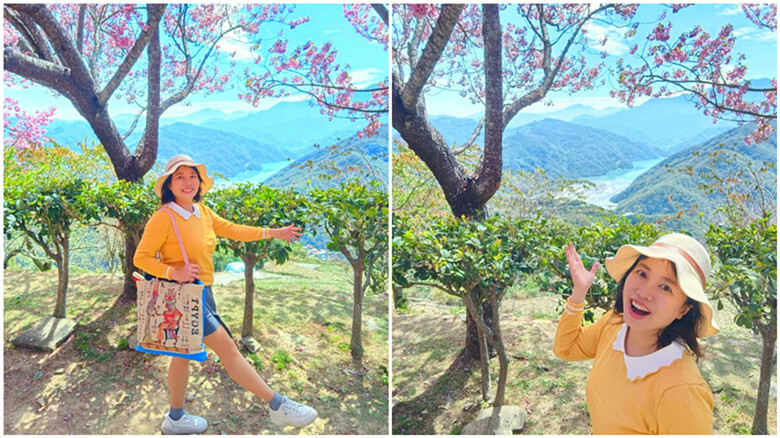 南投縣仁愛鄉南投清境賞櫻景點推薦｜駿亦景觀民宿和星嵐拉麵,櫻花季必訪