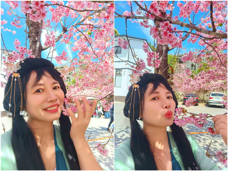 南投縣仁愛鄉南投清境賞櫻景點推薦｜駿亦景觀民宿和星嵐拉麵,櫻花季必訪