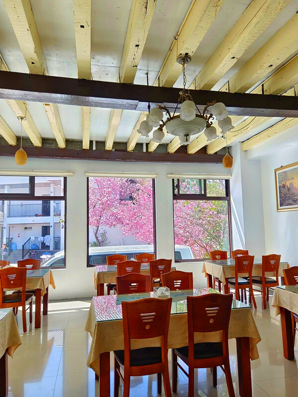 南投縣仁愛鄉南投清境賞櫻景點推薦｜駿亦景觀民宿和星嵐拉麵,櫻花季必訪