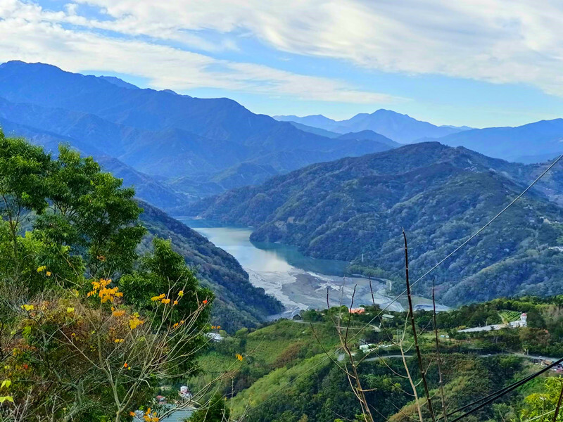 南投縣仁愛鄉南投清境賞櫻景點推薦｜駿亦景觀民宿和星嵐拉麵,櫻花季必訪