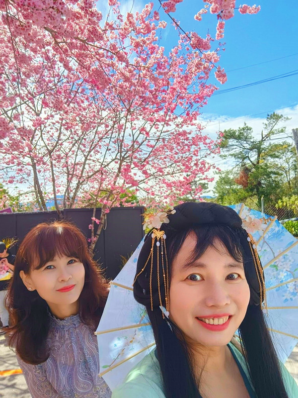 南投縣仁愛鄉南投清境賞櫻景點推薦｜駿亦景觀民宿和星嵐拉麵,櫻花季必訪