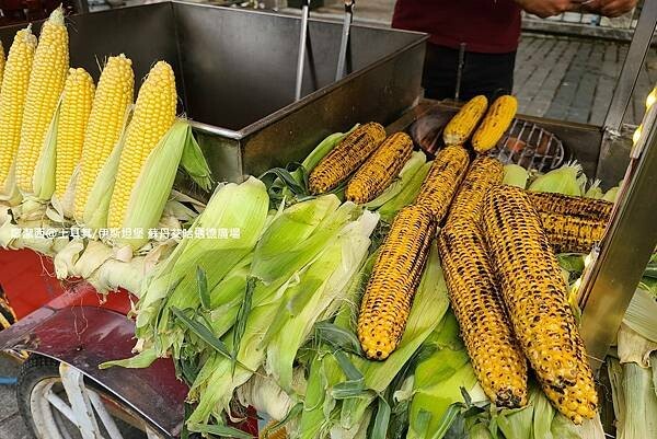土耳其/伊斯坦堡 蘇丹艾哈邁德廣場