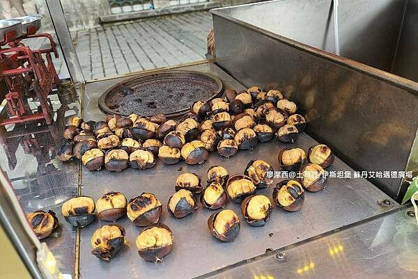 土耳其/伊斯坦堡 蘇丹艾哈邁德廣場