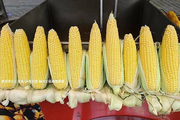 土耳其/伊斯坦堡 蘇丹艾哈邁德廣場