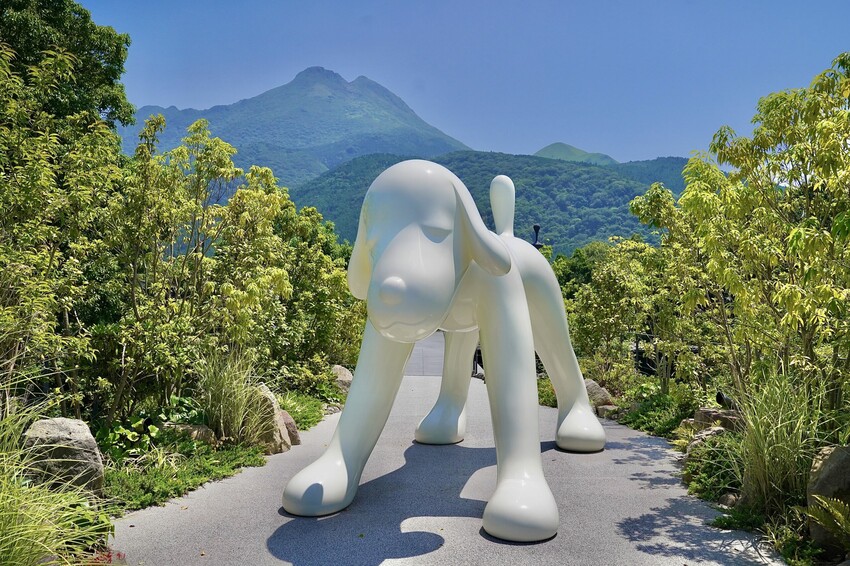 日本來去日本大分旅遊 由布院必吃美食 別府地獄溫泉巡禮 虎航直飛宮崎好好玩