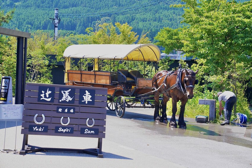 日本來去日本大分旅遊 由布院必吃美食 別府地獄溫泉巡禮 虎航直飛宮崎好好玩